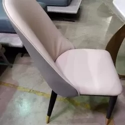 Modern Beautiful Dining chair - Zhida