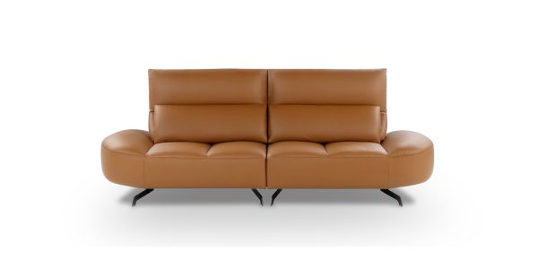 Mango Sofa, Premium Collection - Image 7