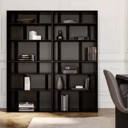 Luxurious Bendy Bookcase